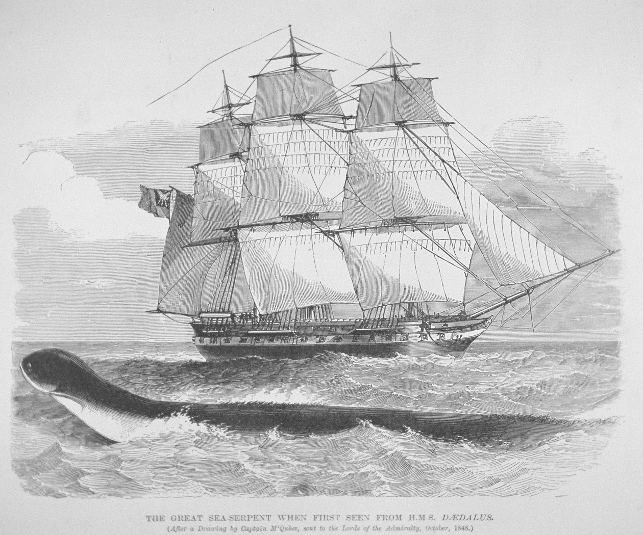 Den store søslange, første gang set fra HMS Daedalus i 1848, ca. 1848 (gravering) af English School