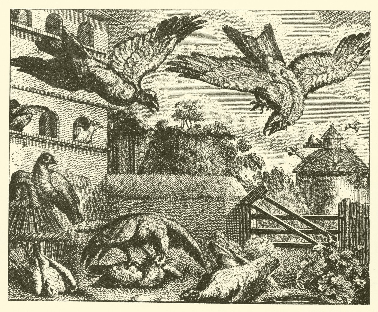 Dragen og duerne (kobberstik) af English School
