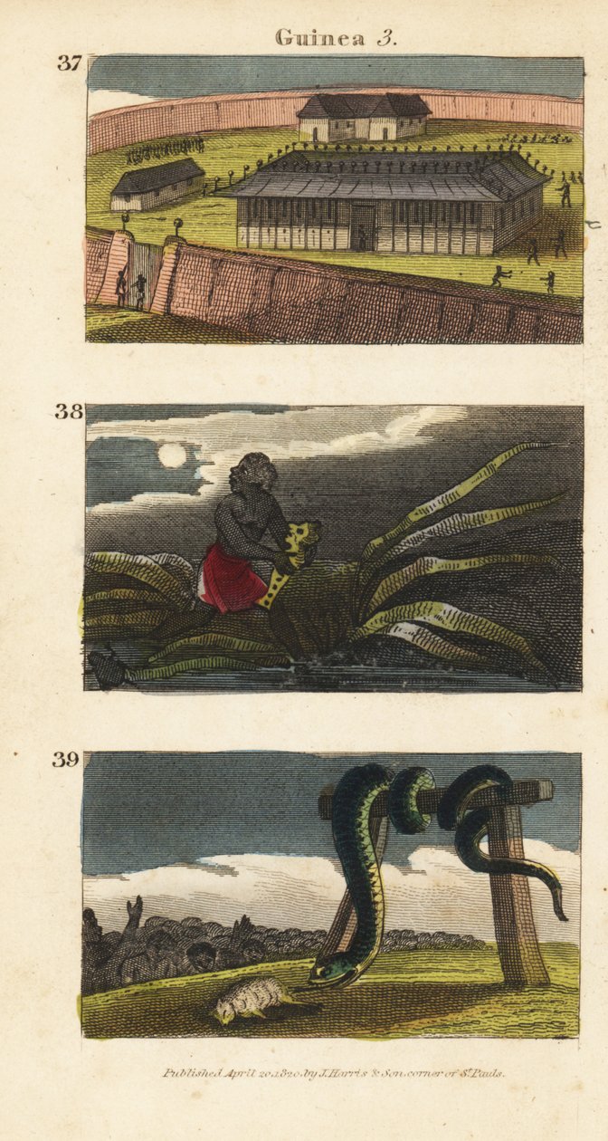 Kongen af Dahomeys palads i Abomey 37, en afrikansk mand, der skjuler en fetich 38, og folk i Whydah, der tilbeder en enorm slange 39 af English School