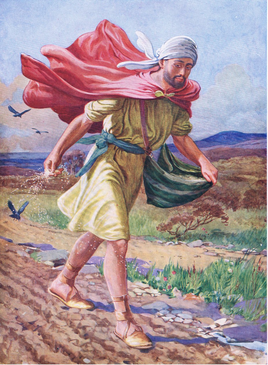 Sædemanden, fra The Bible Picture Book udgivet af Thomas Nelson, ca. 1950 (farvelitografi) af English School