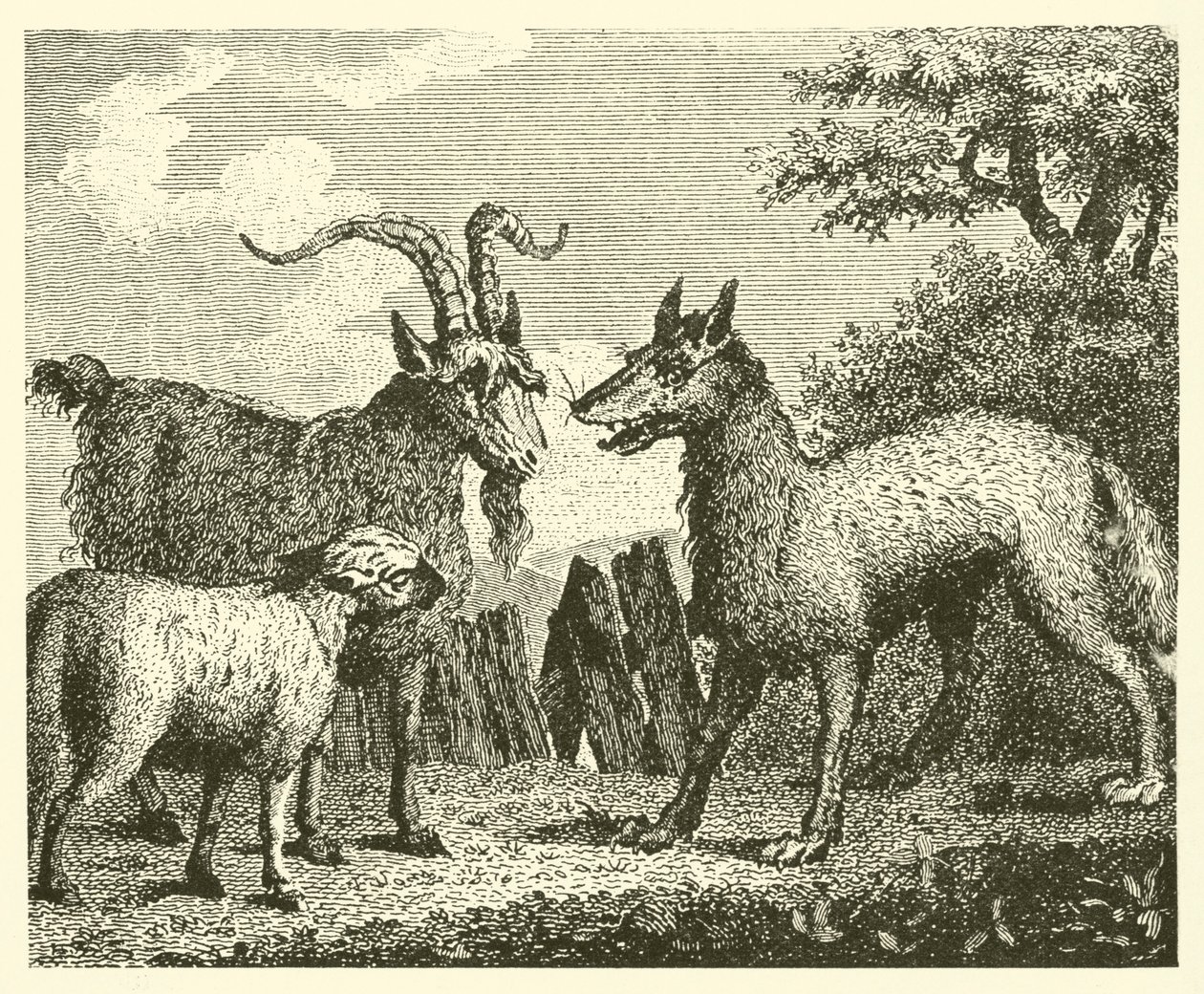 Ulven, lammet og geden (gravering) af English School