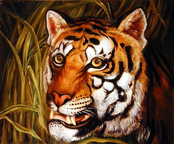 Tiger, tiger brænder lyst... (olie på lærred) af English School