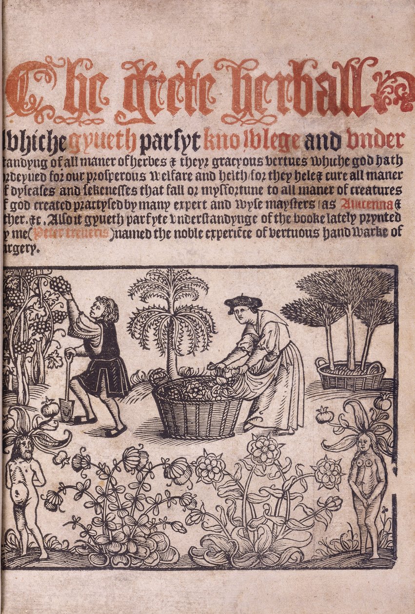 Titelside, der illustrerer en havescene med figurer, 1529 af English School