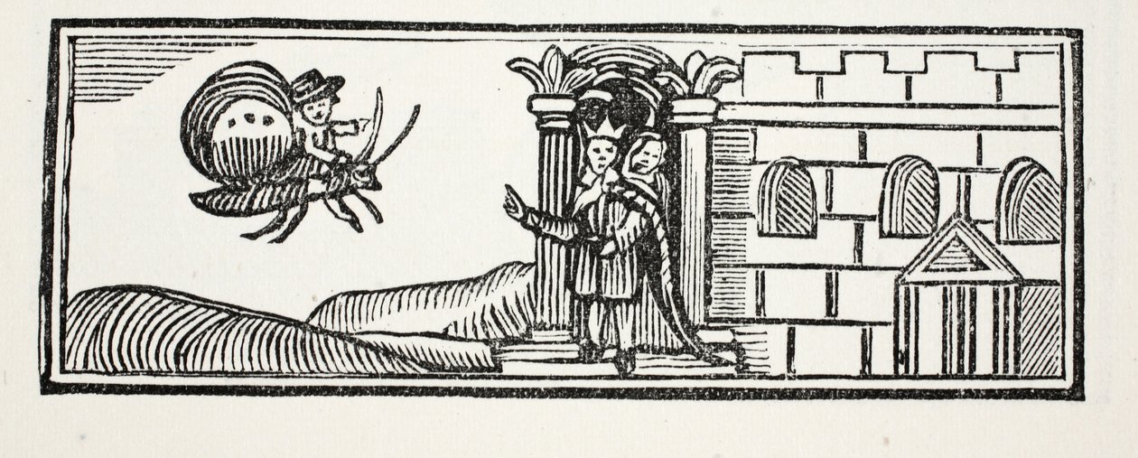Tom gemte sig og forsøgte at flygte på ryggen af en sommerfugl, illustration fra Chap-books of the Eighteenth Century af John Ashton, pub. 1882 af English School