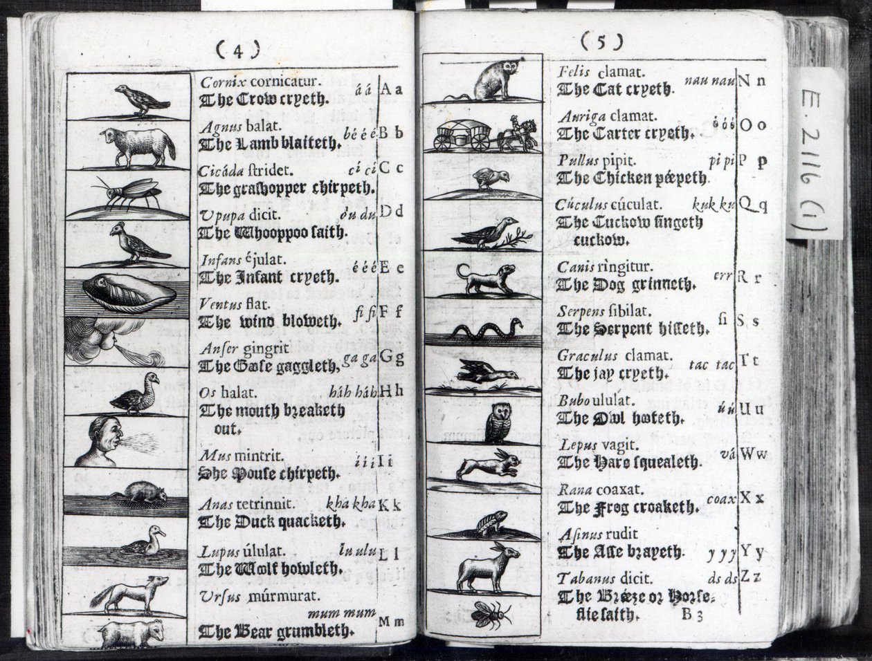 To sider fra Orbis Sensual Pictus af Comenius, 1659 af English School