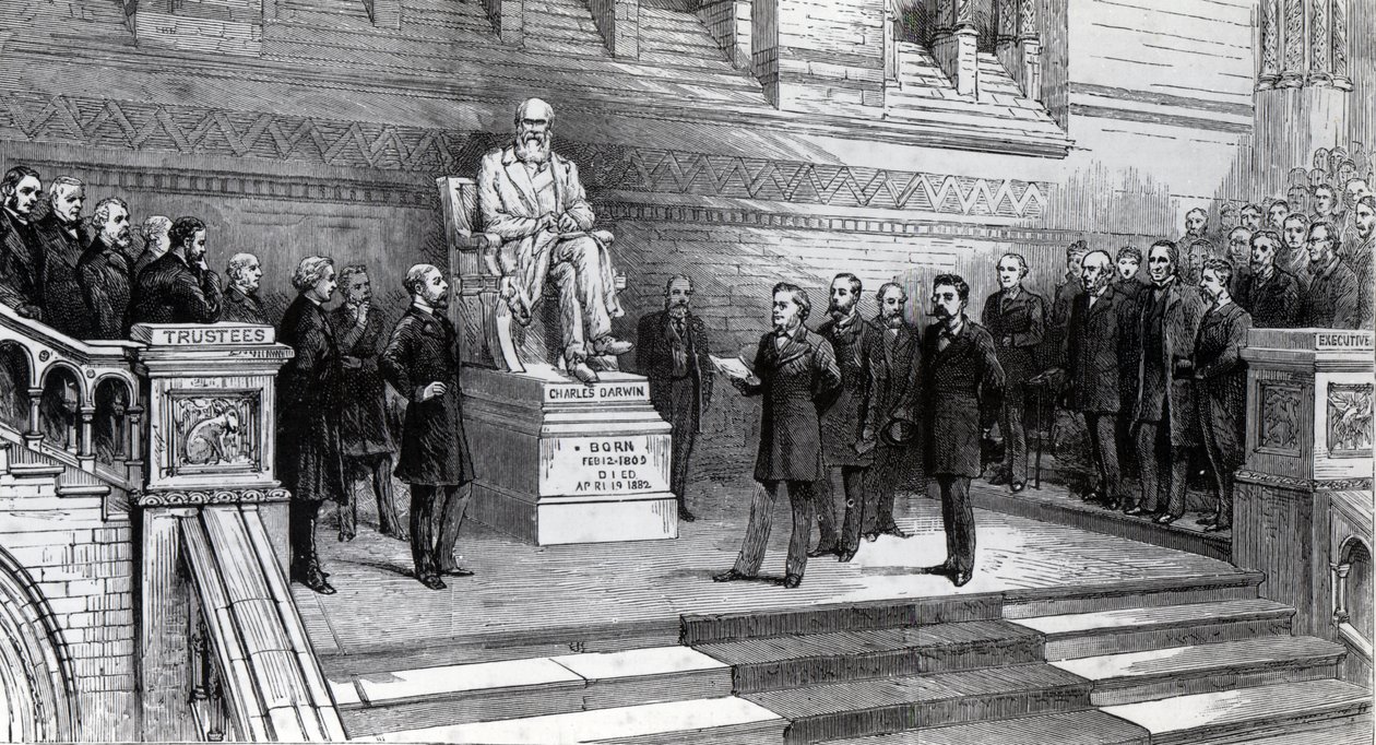 Afsløring af statuen af afdøde Charles Darwin i Natural History Museum, South Kensington, 9. juni 1885 af English School