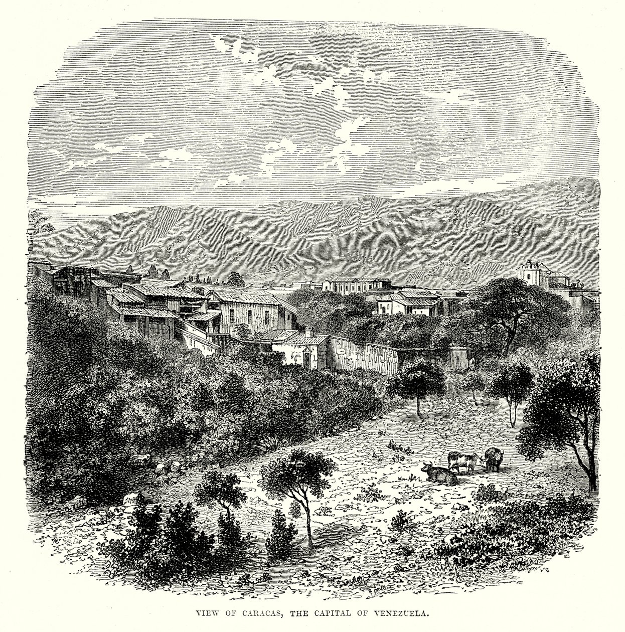  af English School