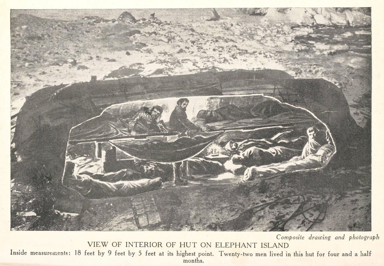 Udsigt over hyttens indre på Elephant Island, fra 