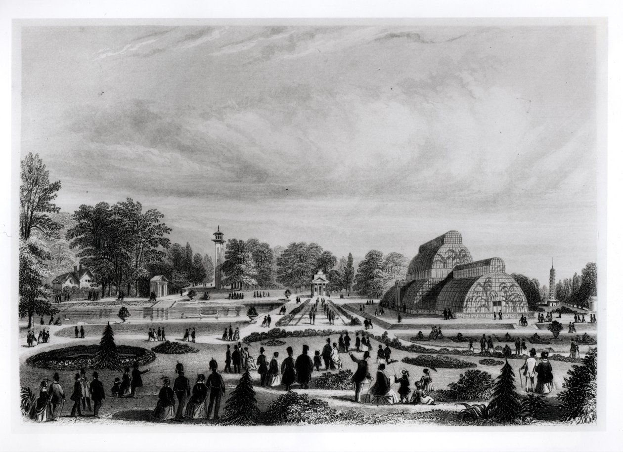 Besøgende ser Palm House ved Kew Palace, ca. 1860