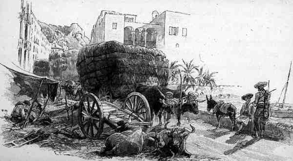 Vogne med Esparto Grass, Almeria, Spanien, fra 