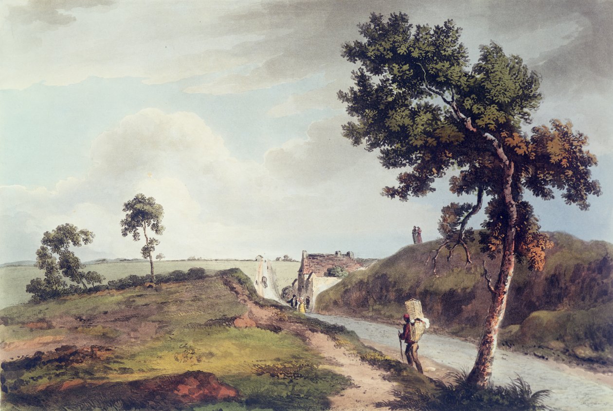 Waterloo, graveret af C. Turner, 1816 (farvet gravering) af English School