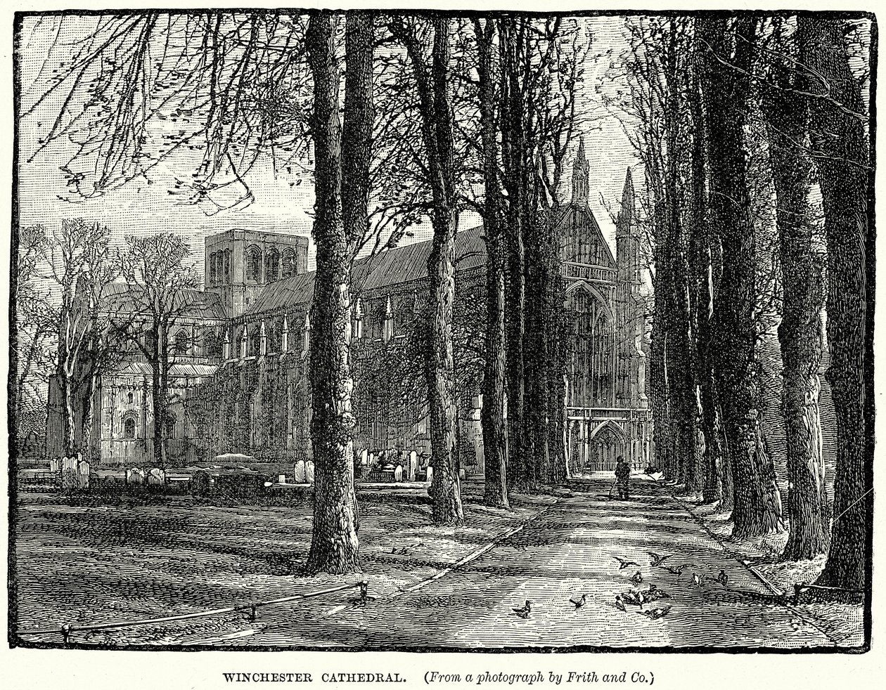 Winchester Cathedral (gravering) af English School