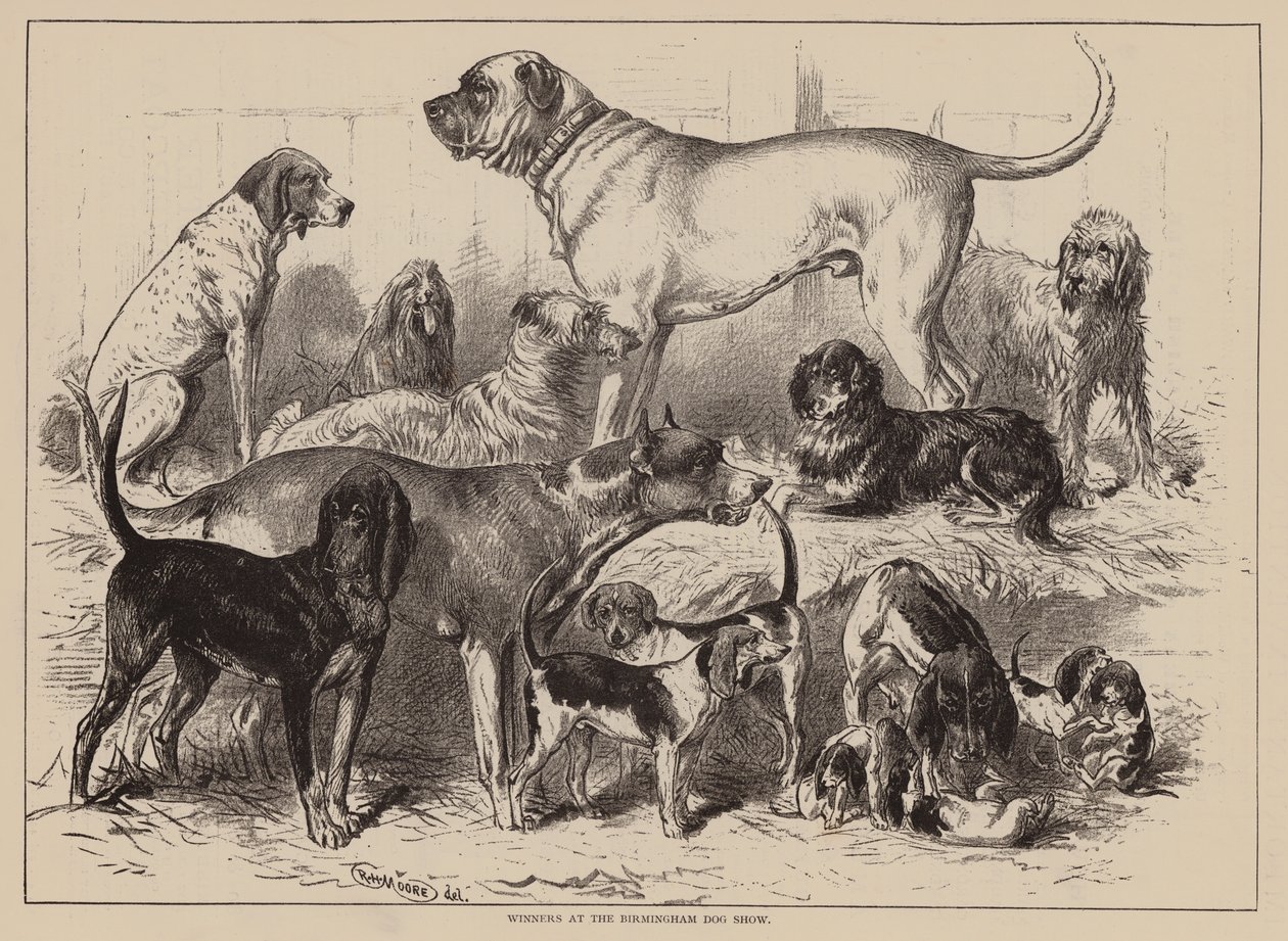 Vindere på Birmingham Dog Show (indgravering) af English School