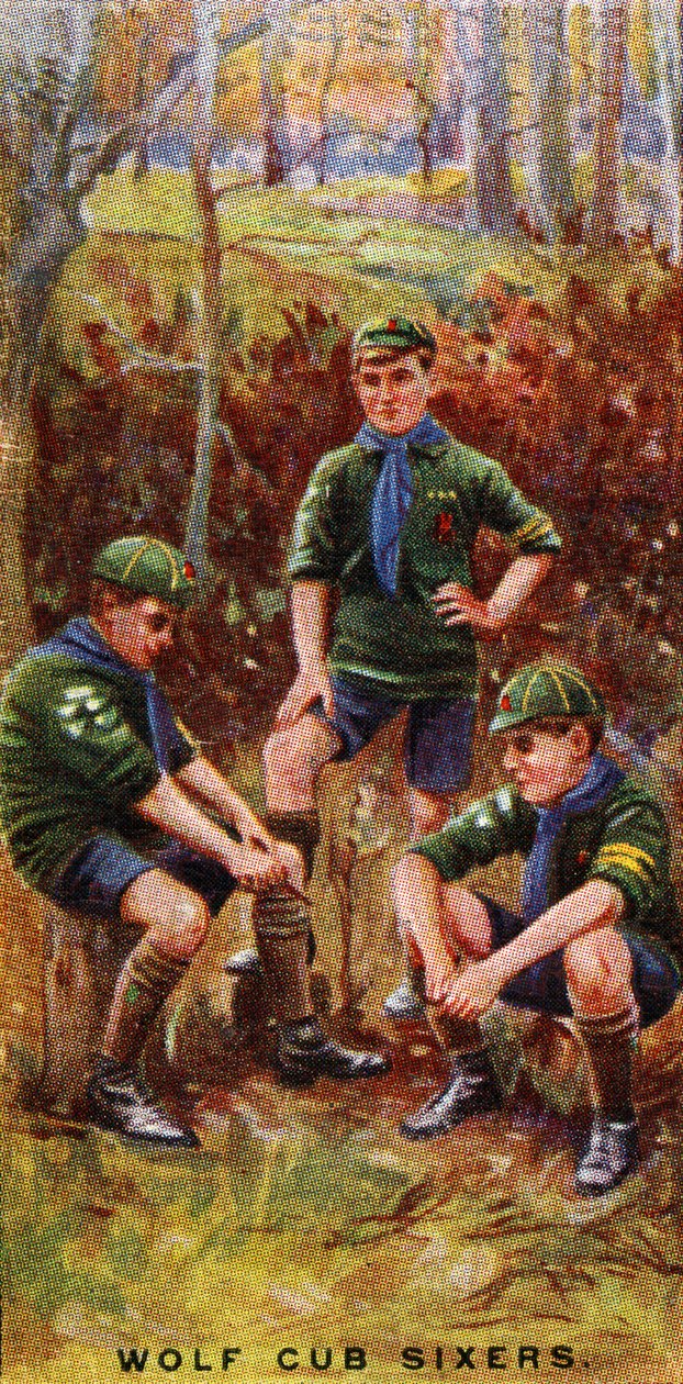 Wolf Cub Sixers, 1929 af English School
