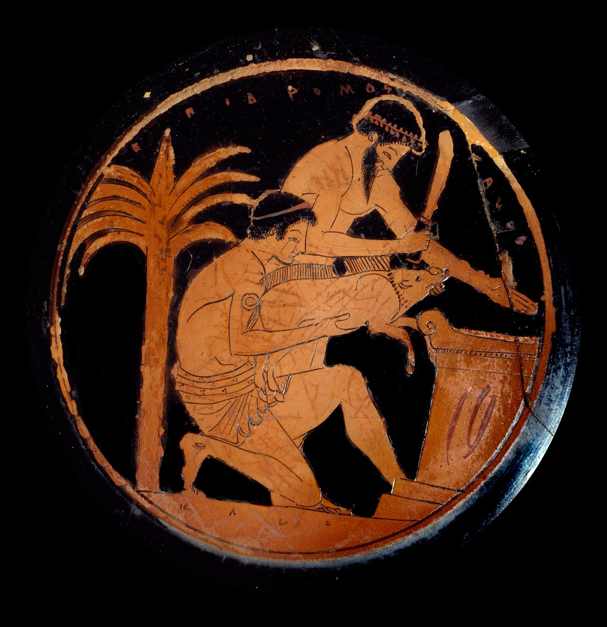 Græsk kunst: kop med røde figurer i keramik, medaljon: ofring af en gris på et alter under en religiøs ritual. Lavet af maleren af Epidromos. 500 f.Kr. Paris, Louvre-museet af Epidromos Painter