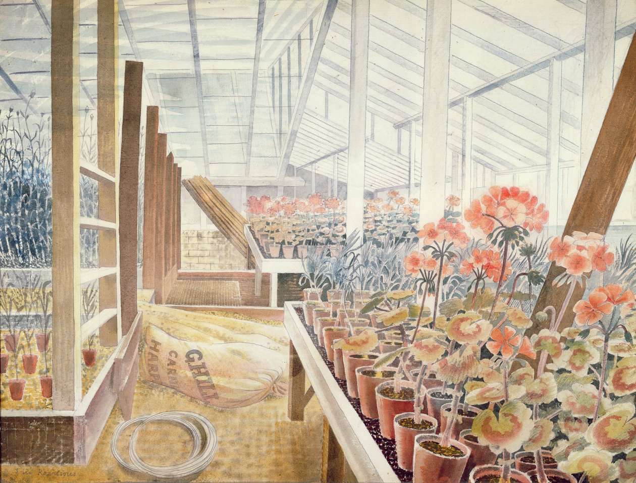 Pelargonier og nelliker af Eric Ravilious
