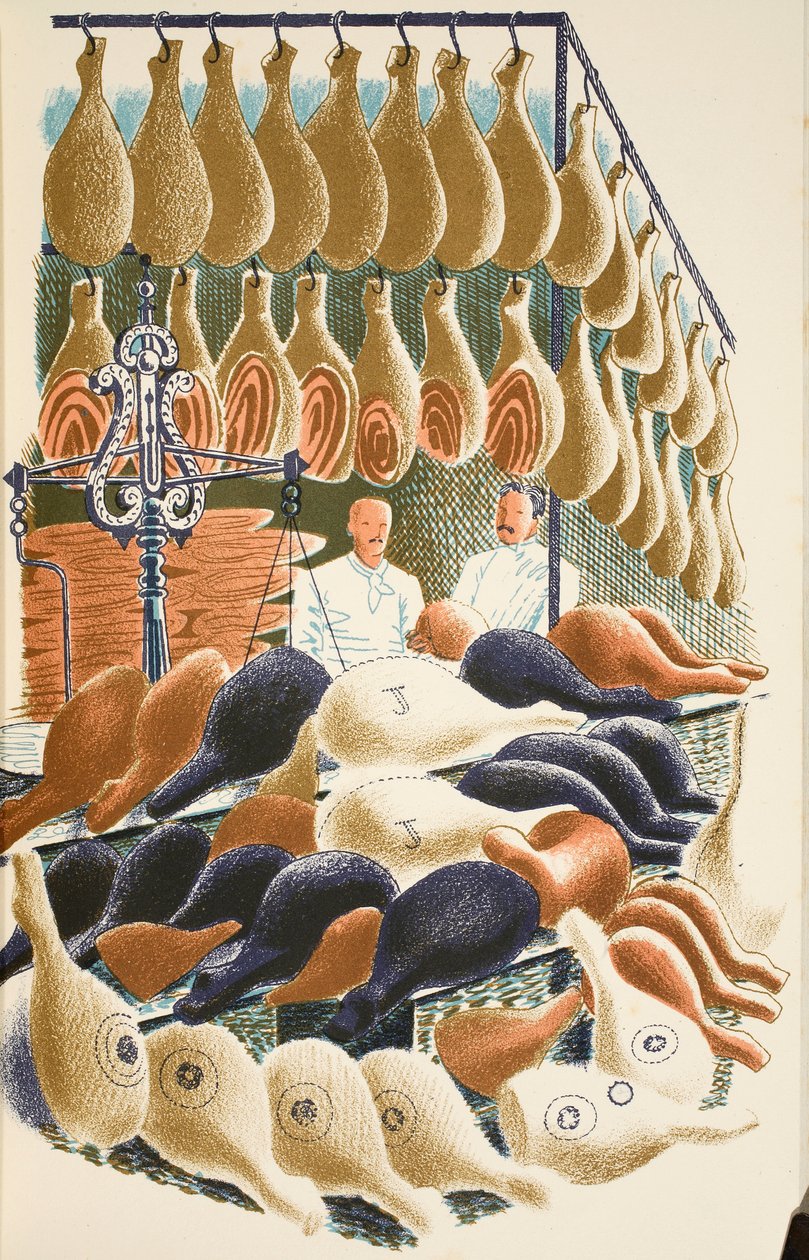 Hams, illustration fra 