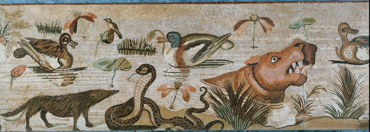 Vandlevende og andre dyr af Erich Lessing