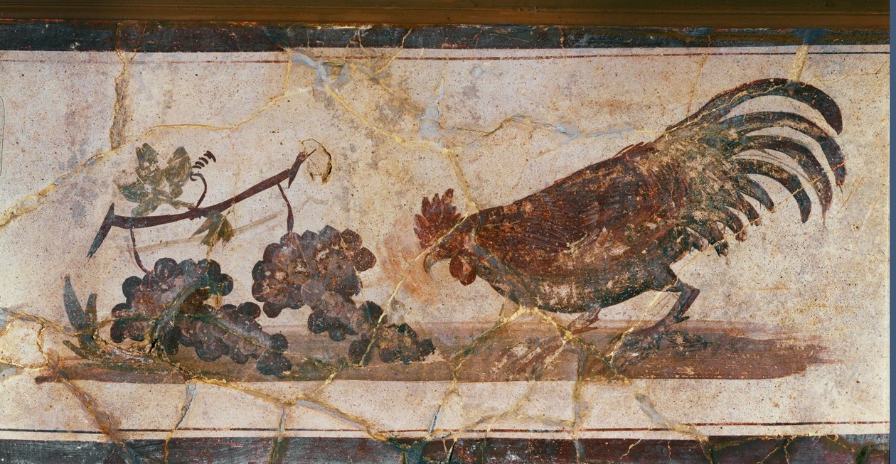 Hane og druer, Herculaneum, Italien (fresko) af Erich Lessing