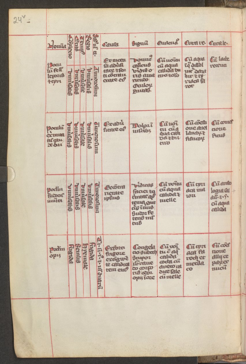 Hel side: tekst af Erich Lessing
