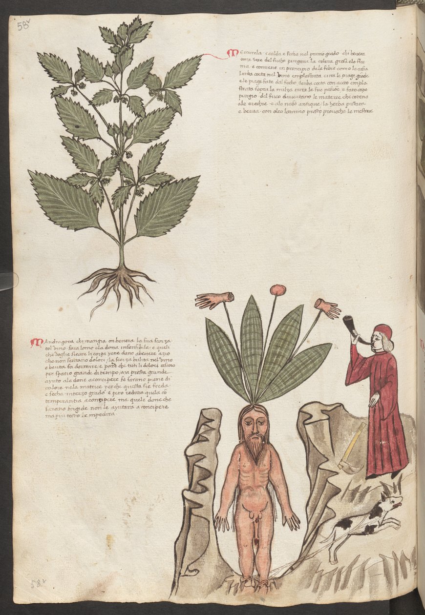 Helside: tekst og miniaturer: "Mercurela" (miniature) af Erich Lessing