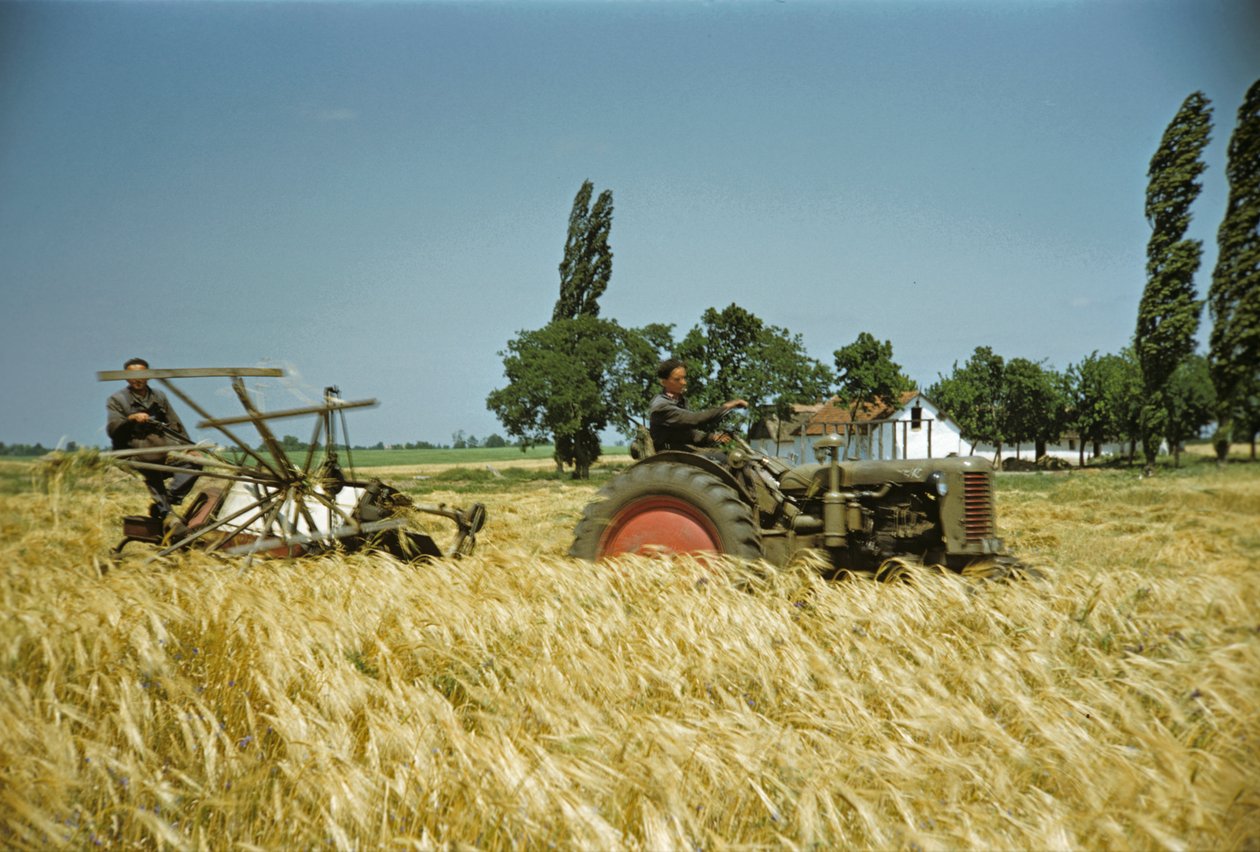  af Erich Lessing