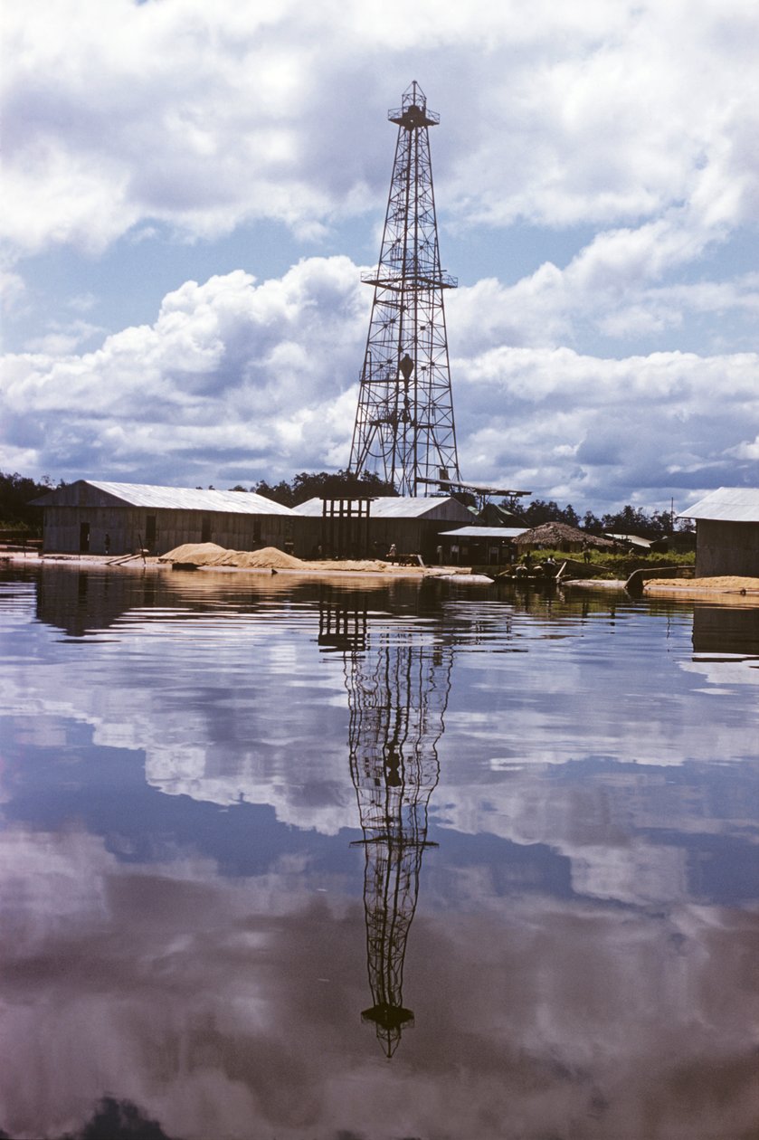 Shell og British Petroleum Company, Nigerdeltaet til Port Harcourt, Nigeria, Afrika af Erich Lessing
