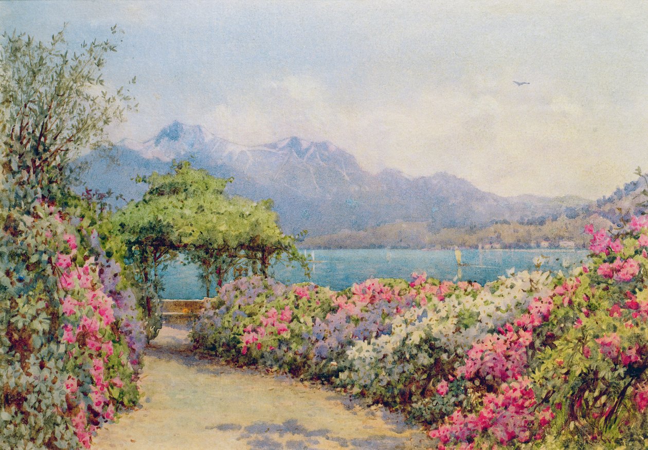 Comosøen fra Villa Carlotta af Ernest Arthur Rowe