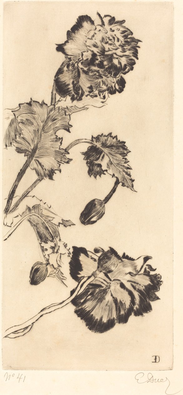 Blomster (Fleurs) af Ernest Ange Duez