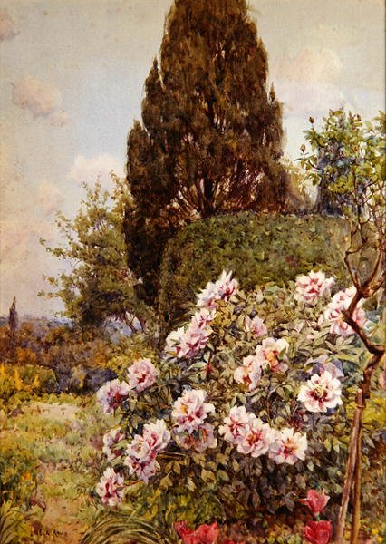 Peonies, Coddington, nær Ledbury (blyant og akvarel på papir) af Ernest Arthur Rowe