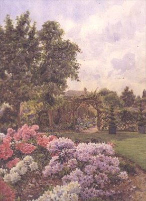 Rhododendron af Ernest Arthur Rowe