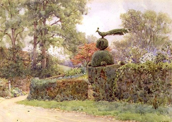 The Old Yew Hedge, Speldhurst, Kent (akvarel) af Ernest Arthur Rowe