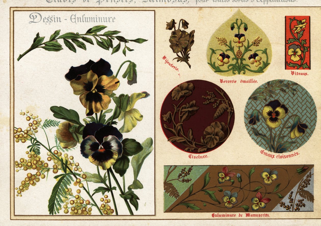 Billeder af stedmoderblomster og mimoser fra manuskripter og deres anvendelse af Ernest Guillot
