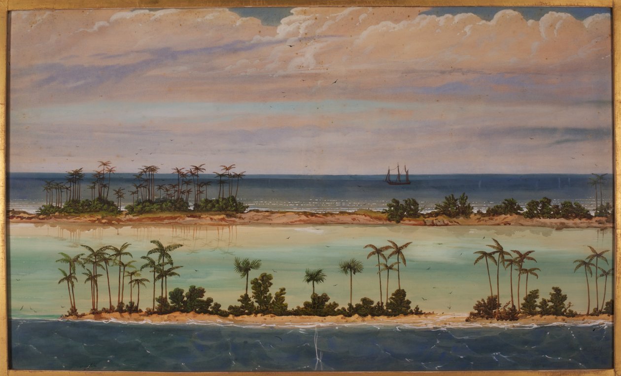 Triptykon af en atol, 1871 af Ernest Henry Griset