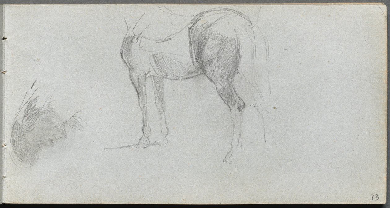 Skitsebog, side 73: Studie af en hest, profil. af Jean Louis Ernest Meissonier