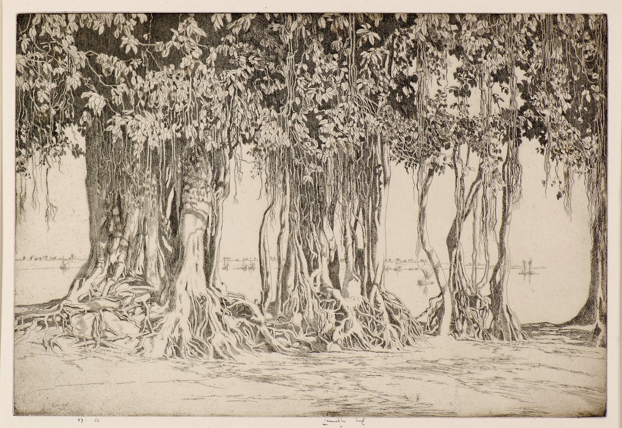 Banyan træet af Ernest Stephen Lumsden