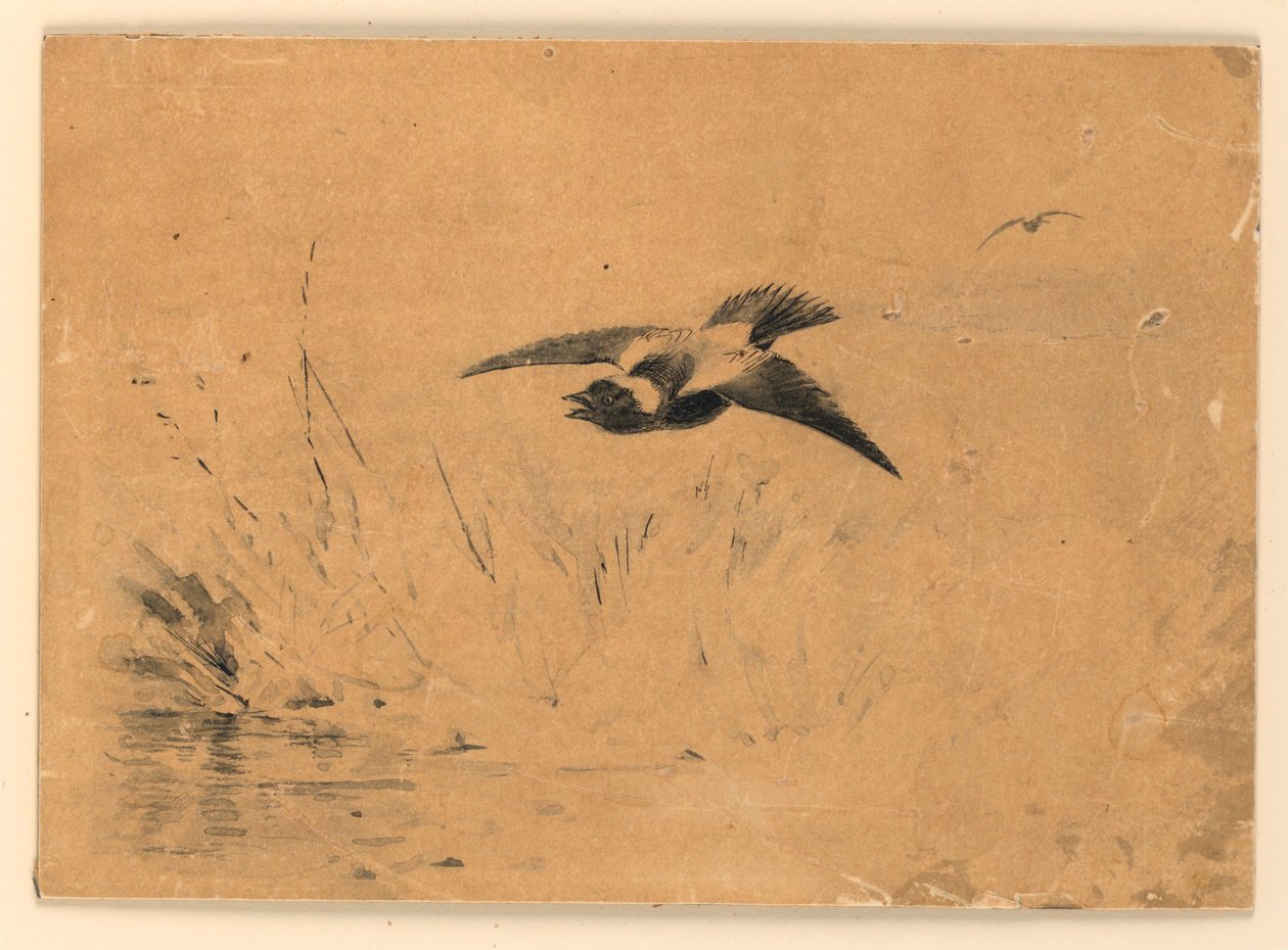 Bobolink af Ernest Thompson Seton