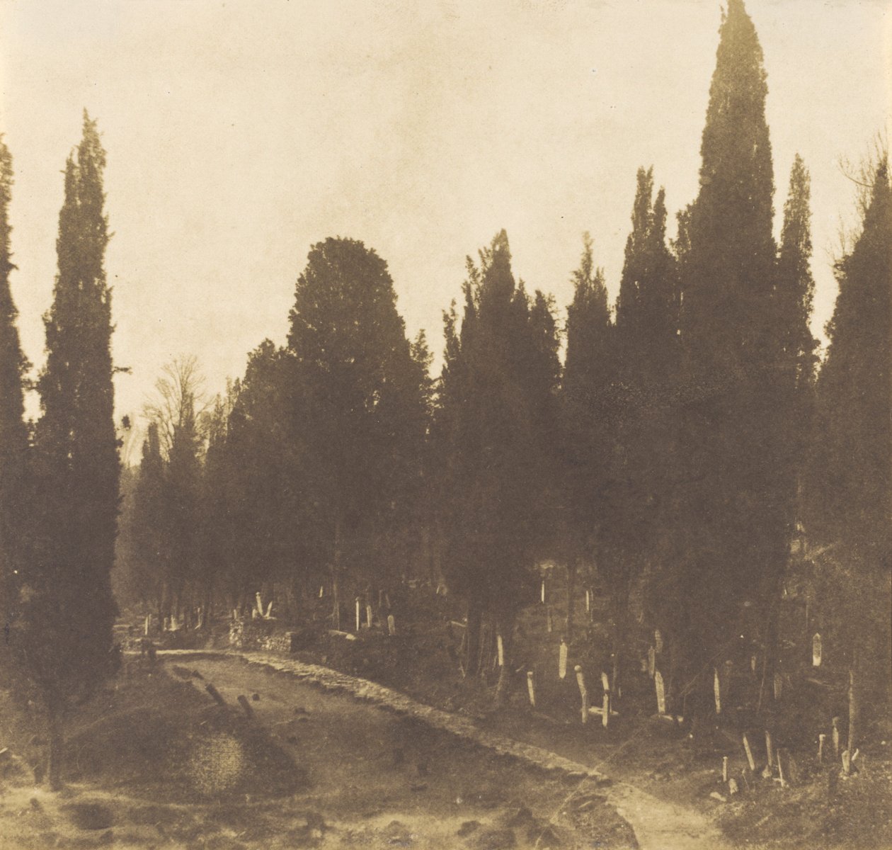 Tyrkiet: Kirkegården i Scutari, 1852 (foto) af Ernest de Caranza