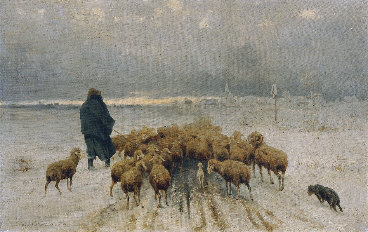 Hjemvendte flok får af Ernst Adolph Meissner
