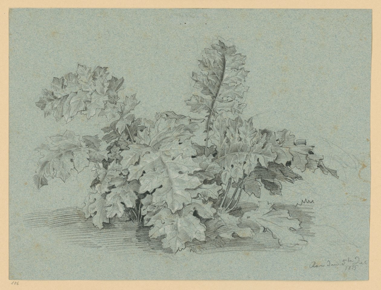 Akanthusplante af Ernst Fries