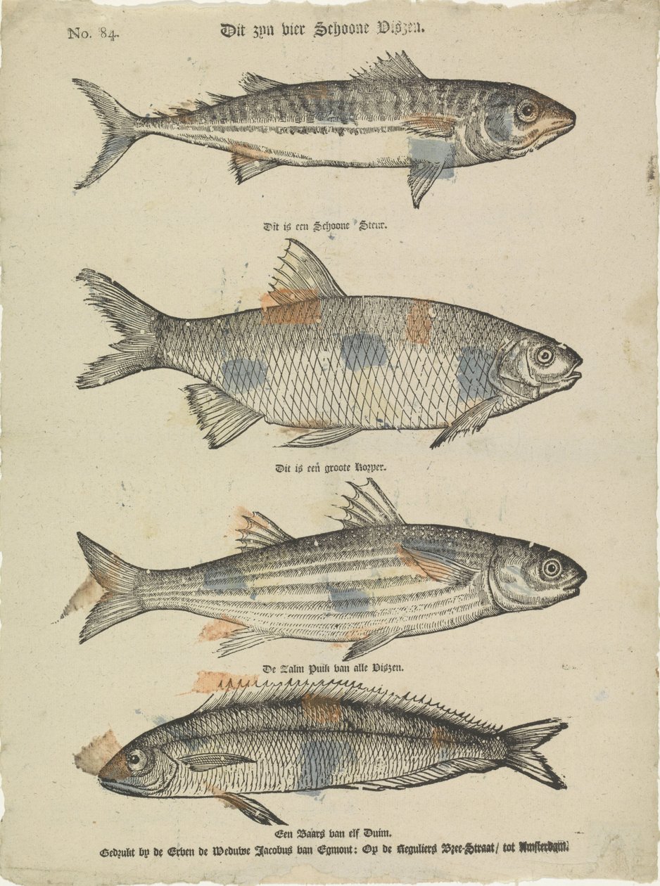 Det er fire smukke fisk (titel på objekt) af Erven de Weduwe Jacobus van Egmont