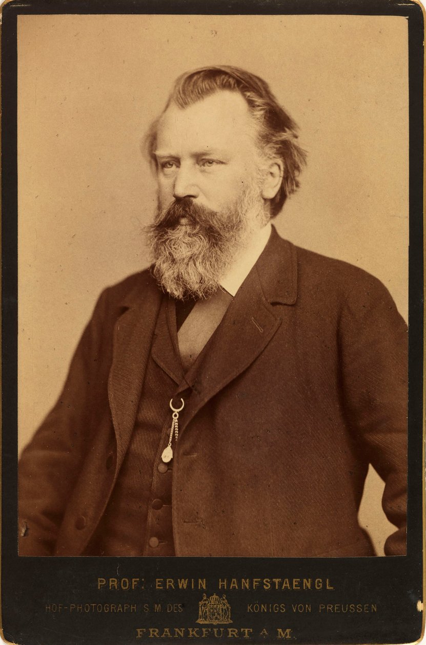 Portræt af komponisten Johannes Brahms 1833-1897, ca. 1870. af Erwin Hanfstaengl