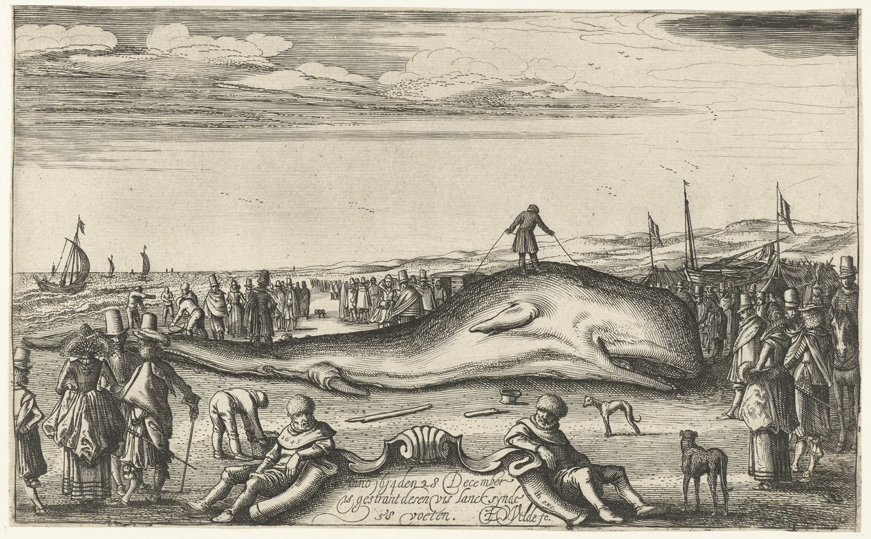 Strandet kaskelothval på stranden ved Noordwijk, 1614 af Esaias van de Velde