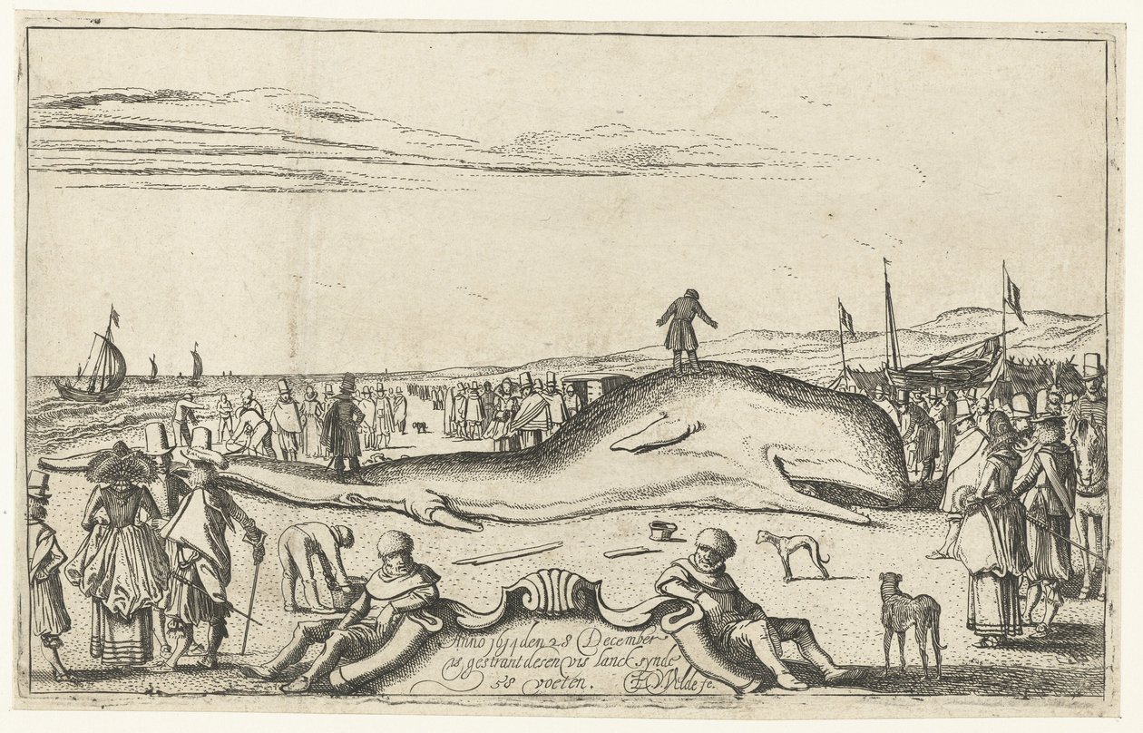 Strandet hval på stranden ved Noordwijk, 1614 af Esaias van de Velde