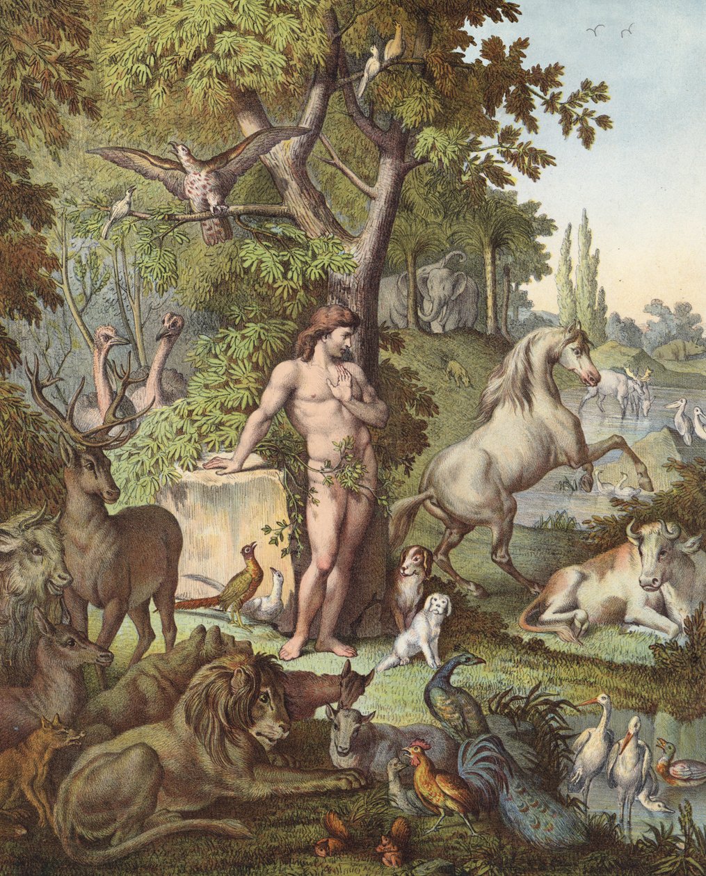 Adam i Edens have (farvelitografi) af Etienne Antoine Eugene Ronjat
