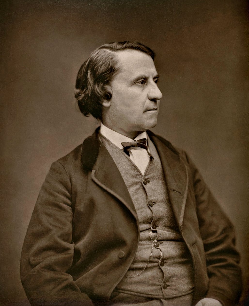Portræt af Louis Blanc 1811-1882, CA 1873-1877. af Etienne Carjat