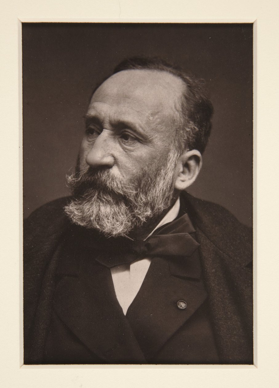 Portræt af Pierre Puvis de Chavannes (1824-1898) af Etienne Carjat