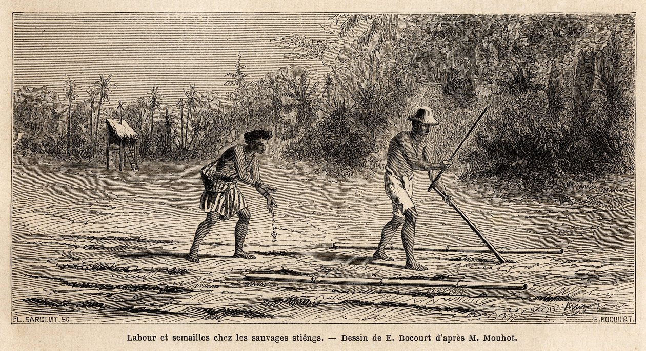 Pløjning og såning blandt de vilde Stiengs, indbyggere i Cambodjas skove, tegning af E.Bocour, for at illustrere Henri Mouhots rejse gennem kongerigerne Siam, Cambodja og Laos fra 1858 til 1861. Indgravering i “” Le tour du monde”” , redigeret af Etienne Gabriel Bocourt