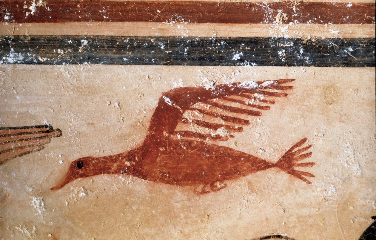 En fugl. (Detalje af freskomaleri, 530 f.Kr.) af Etruscan