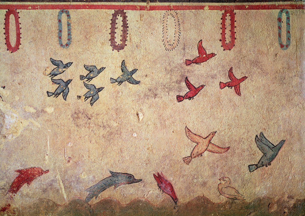 Vandfugle og springende delfiner, fra jagt- og fiskegraven, ca.520-10 f.Kr. (vægmaleri) af Etruscan
